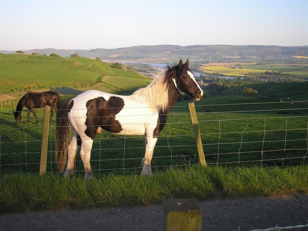 Bed and Breakfast Northlees Farm Perth Exterior foto